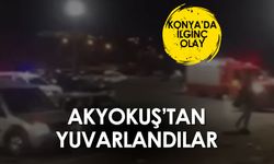 Konya'da ilginç olay: Akyokuş'tan yuvarlandılar