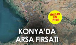 Beyşehir Belediyesi 24 arsayı satıyor! 178 bin liraya arsa var