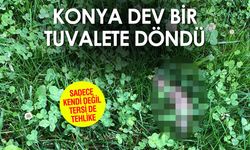 Konya Sokaklarındaki ve Yeşil Alanlarındaki Gizli Tehlike