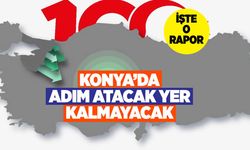 Konya yine Türkiye'nin gündeminde! Geniş topraklarda adım atacak yer kalmayacak