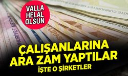 Ara Zam Yapan Şirketler Belli Oldu: İşte Zam Oranları