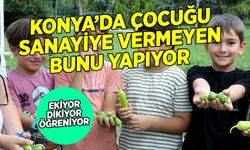 Karatay Tabiat Mektebi: Konya'da çocuklar ekiyor, dikiyor, öğreniyor, eğleniyor