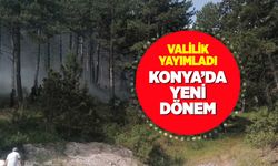 Konya'da girişi yasaklanan ormanlık ve piknik alanlarının listesi yayınlandı