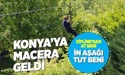 Macera Kulesi Adrenalin Tutkunlarını Bekliyor: Kelebekler Vadisi'nde Zipline Heyecanı