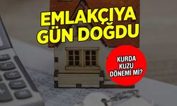 Emlak ve Otomotiv Piyasasında Yeni Düzenleme: Dolandırıcılık ve Fahiş Fiyatların Önüne Geçiliyor