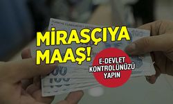 Miras Kalan Tarım Arazilerine Devletten Maaş! İşte Detaylar ve Yararlanma Şartları