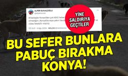 Köpek çeteleri yine Konya'yı hedef aldı! İftira iftira