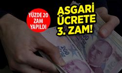 Yavru Vatandan Asgari Ücrete 3. Zam