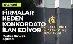 Firmalar Neden Konkordato İlan Ediyor? Merkez Bankası Sebepleri Sıraladı