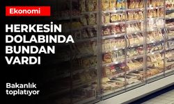 Yeni Peynir Düzenlemesi Geliyor!