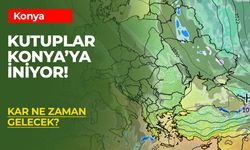 Kutuplar Konya'ya İniyor