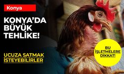 Kuş Gribi Alarmı! Konya'da Yumurta ve Beyaz Ette Sahtekarlık Tehlikesi