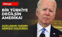 Bir Türk Devleti Değilsin Amerika!