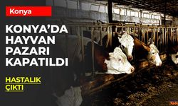 Ereğli’de Şap Alarmı: Hayvan Pazarı Süresiz Kapatıldı