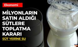 Danone’den “Birşah” Marka Sütler İçin Toplatma Kararı