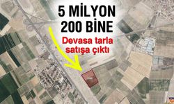 96 bin metrekare domates tarlası yeni sahibini bekliyor