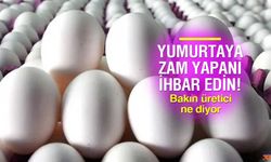 Türkiye'den ABD'ye Yumurta İhracatı Başladı: Fiyatlar Artacak mı?