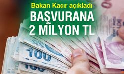 KOSGEB'den başvurana 2 milyon lira hibe