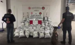 Kömüre emdirip saklamışlar