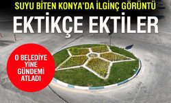 Suyu kalmayan Ereğli'nin refüjlerine çiçek