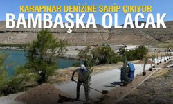 Karapınar denizine sahip çıkıyor