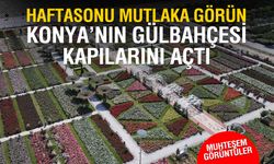 Konya'da 50 bin gonca açtı, ziyaretçilerini bekliyor