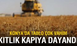 Konya'da kıtlık tehlikesi