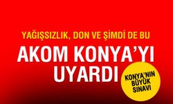 Konya'nın kritik sınavı: Kuraklık, zamansız aşırı soğuk ve tarla yangınları