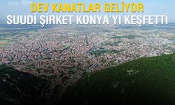 Rüzgar Bizden, Santral Onlardan: Suudiler Konya’ya RES Kurmaya Geliyor, Vatandaştan İzin İstiyor