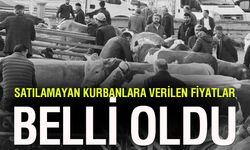 Et ve Süt Kurumu devrede: Satılamayan kurbanlıklar için alım fiyatları belli oldu