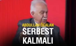 Doğu Perinçek'ten Çarpıcı Açıklamalar: Abdullah Öcalan ile Görüşme Talebi ve Af Yasası Çağrısı