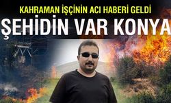 Konyalı orman işçisi İbrahim Demir İzmir yangınında şehit oldu