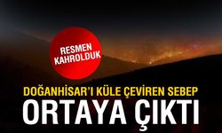 Konya’daki Orman Yangınının Sebebi Belli Oldu: Çay Ateşi Faciası!