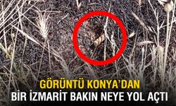 Bir İzmarit Yüzünden Koca Arazi Kül Oldu!
