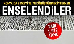 Sikkeyi Türk Lirası'na Çevirmek İsterken Enselendiler