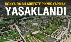 Konya'dan da Yasak Haberleri Geliyor! O Adreste Piknik Yasaklandı