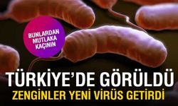 Vibrio Bakterisi Alarmı: Denize Açık Yarayla Girmeyin, Çiğ Deniz Ürünlerinden Uzak Durun!