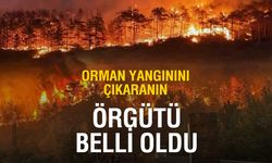 Orman Yangınını Çıkaranın Kim Olduğu Ortaya Çıktı