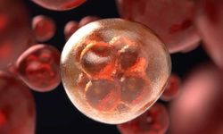 Türkiye'de Her 4 Kişiden 1’i Hepatit B Taşıyor! Uzmanlar Organ Yetmezliği Uyarısında Bulundu