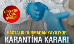 Konya’da Şap Alarmı: Karantina Kararı ve Yoğun Aşılama