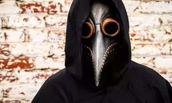 Pire Isırığıyla Veba Vakası: Dünya Alarma Geçmeye Hazır mı?