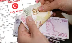 1 Eylül’de Yürürlüğe Girecek Düzenleme ile Boş Araziler Sahiplerinin Rızası Olmadan Kiralanacak