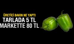Tepesi Attı Bedava Dağıtıyor