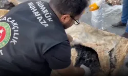 Gümrük kapıları uyuşturucu batağına dönmüş