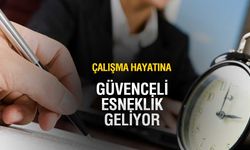 Güvenceli Esneklik Dönemi 2026’da Başlıyor