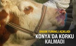 Konya'da Korku Kalktı: Hayvan Pazarı Yeniden Açıldı!