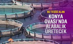 Kazanan Konya Ovası'nda Alabalık Üretecek