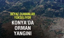 Akşehir Tekkeköy’de Orman Yangını: Ekipler Sevk Edildi