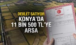 Milli Emlak'tan Konut Krizi Ortasında Küçük Yatırımcıya Nefes Aldıran Satışlar: 11.500 TL'ye Arsa Fırsatı!