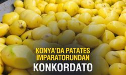 Konya'da patates devinden konkordato